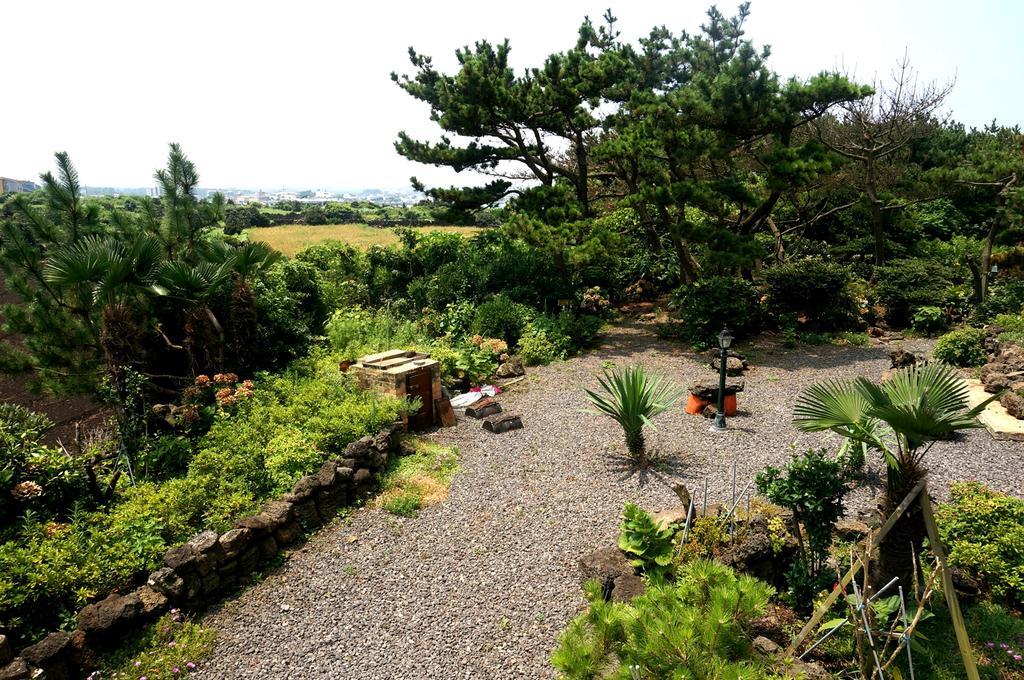 Nattrang Pension Jeju Exteriör bild